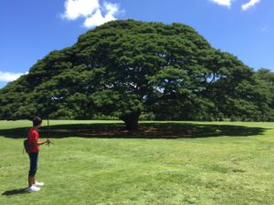 ハワイへ家族旅行出発１ケ月前