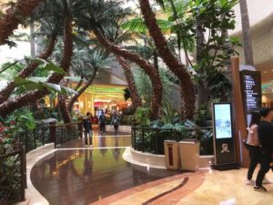 香港＆マカオ　研修旅行　４日目