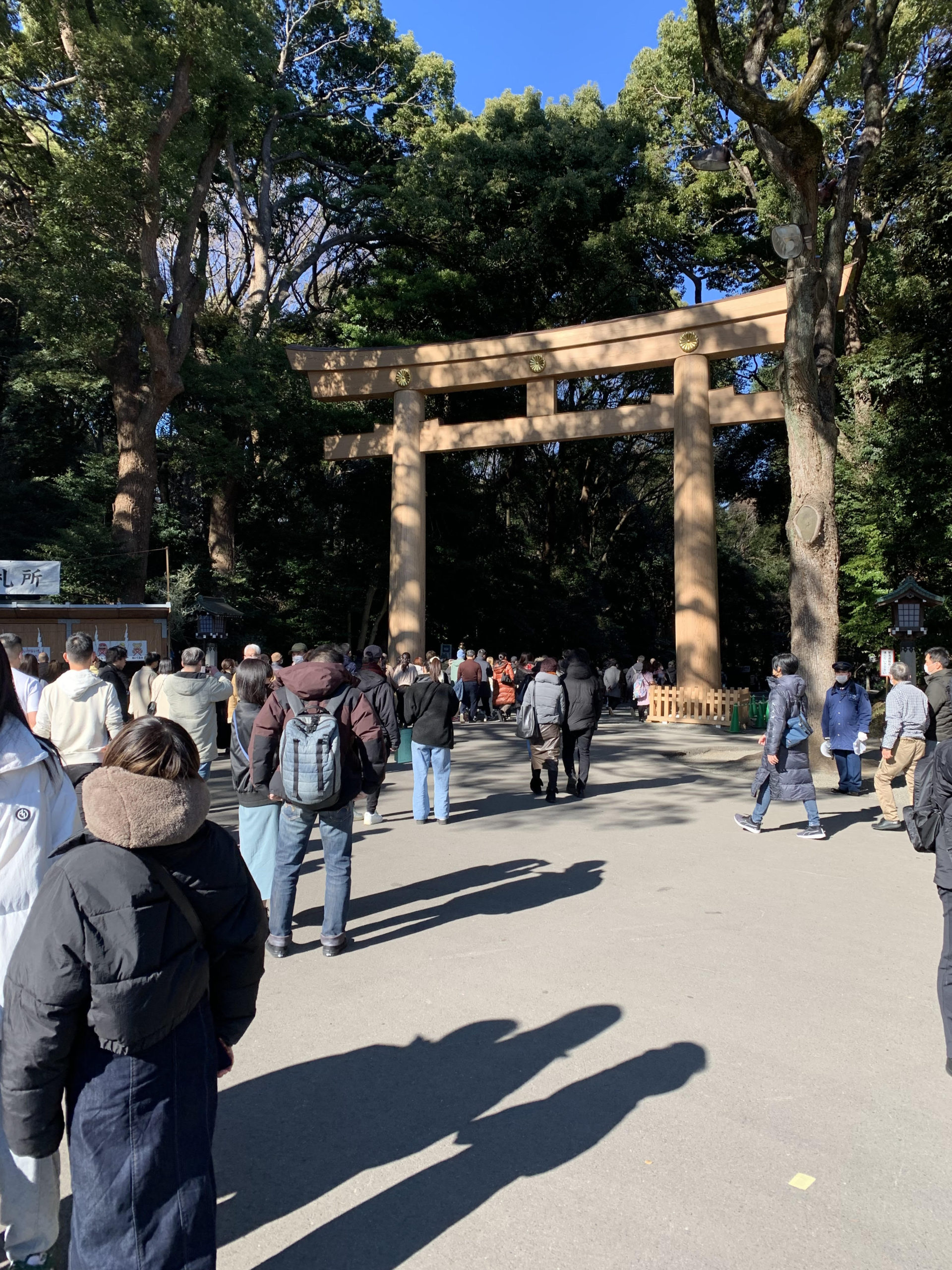 【祝】ブログ開設1周年