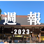 【週報】[2023.11.19-2023.12.31]